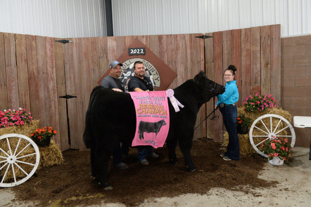 Reserve Champion Market Steer