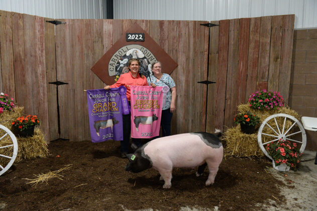 Reserve Champion Hog