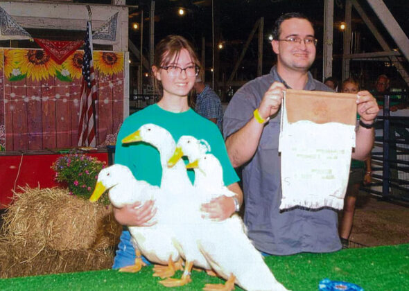 Grand Champion Ducks
