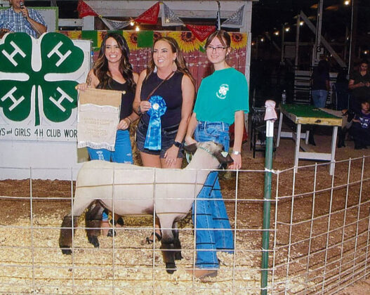 Grand Champion Lamb
