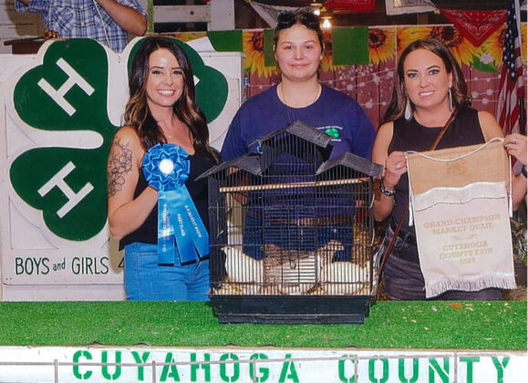 Grand Champion Quail