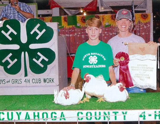 Reserve Champion Chickens