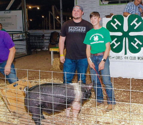 Reserve Champion Hog