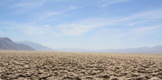 desert
