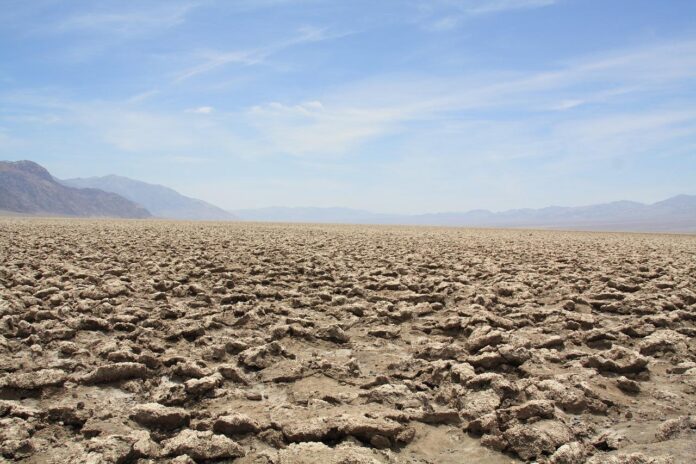 desert desert