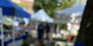 Creamy Cucumber and Chicken Salad