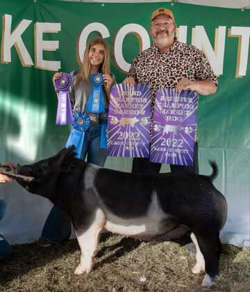 Grand Champion Barrow