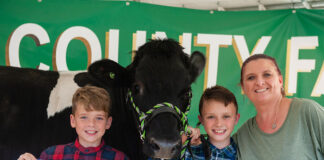 Grand Champion Dairy Beef