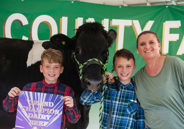Grand Champion Dairy Beef