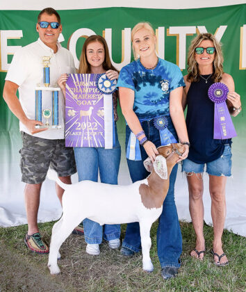 Grand Champion Market Goat