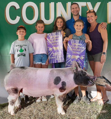 Grand Champion Market Hog