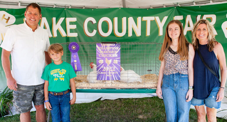 Grand Champion Chickens