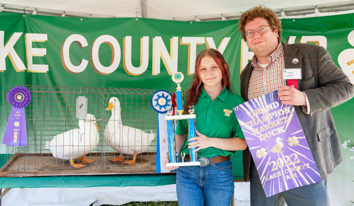 Grand Champion Ducks