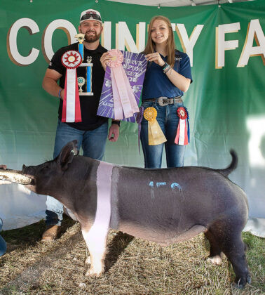 Reserve Champion Market Barrow