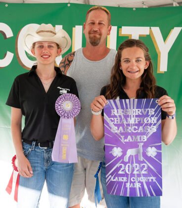 Reserve Champion Carcass Lamb