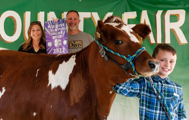 Reserve Champion Dairy Beef