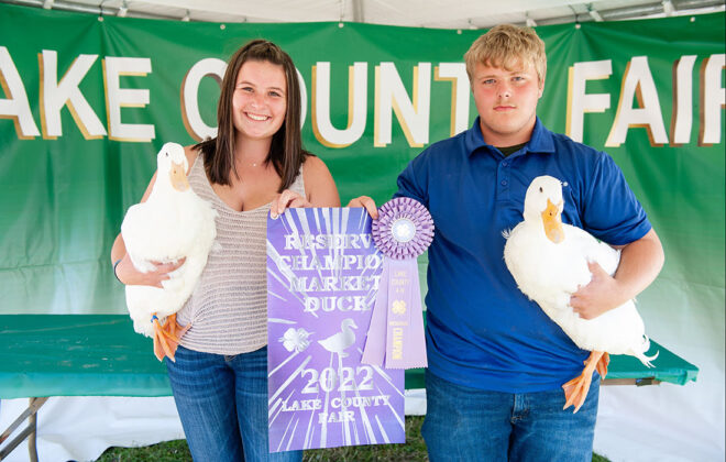 Reserve Champion Ducks