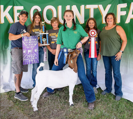 Reserve Champion Market Goat