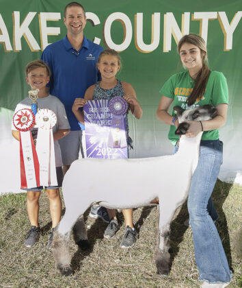 Reserve Champion Market Lamb