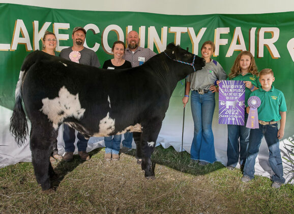 Reserve Champion Market Steer
