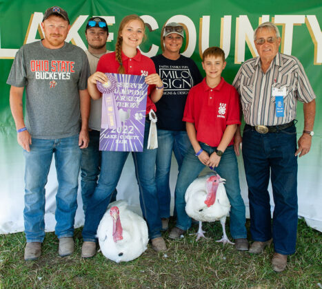 Reserve Champion Turkeys