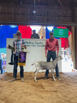 Grand Champion Dairy Goat