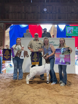 Grand Champion Goat