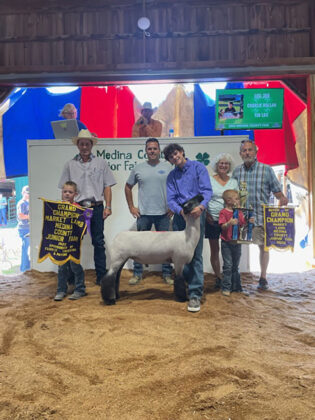 Grand Champion Lamb