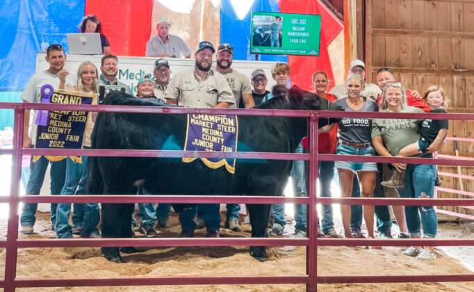 Grand Champion Market Steer
