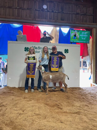 Reserve Champion Dairy Goat