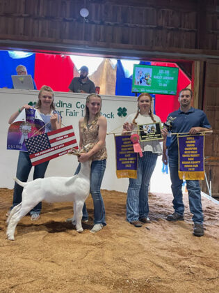 Reserve Champion Market Goat