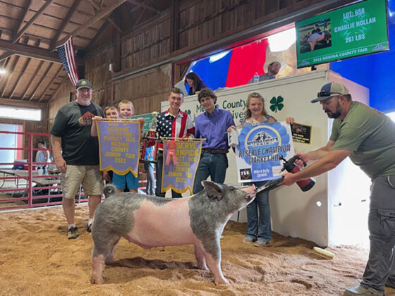 Reserve Champion Market Hog