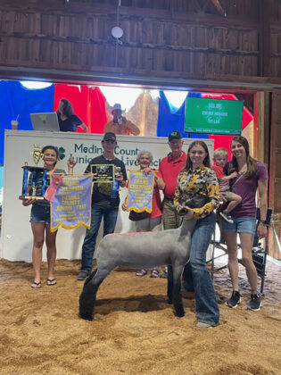 Reserve Champion Lamb