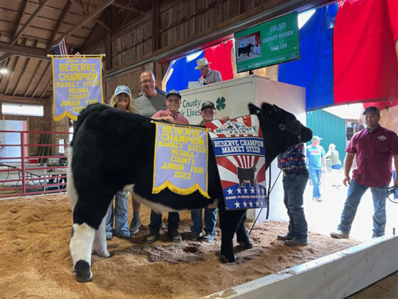 Reserve Champion Steer