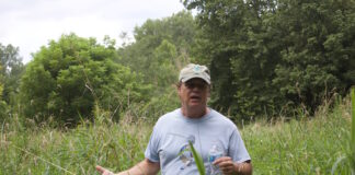 A man stands in a field