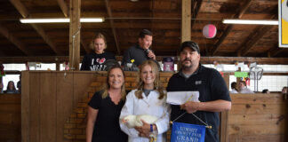 Grand Champion Chickens