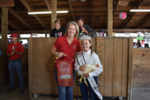Reserve Champion Chickens