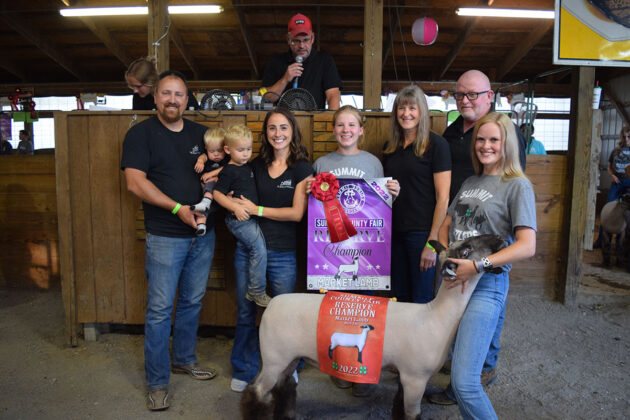 Reserve Champion Lamb