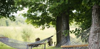 hammock