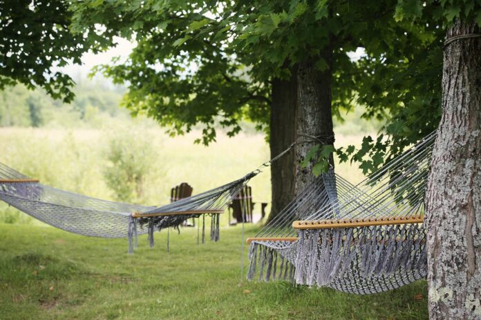 hammock hammock