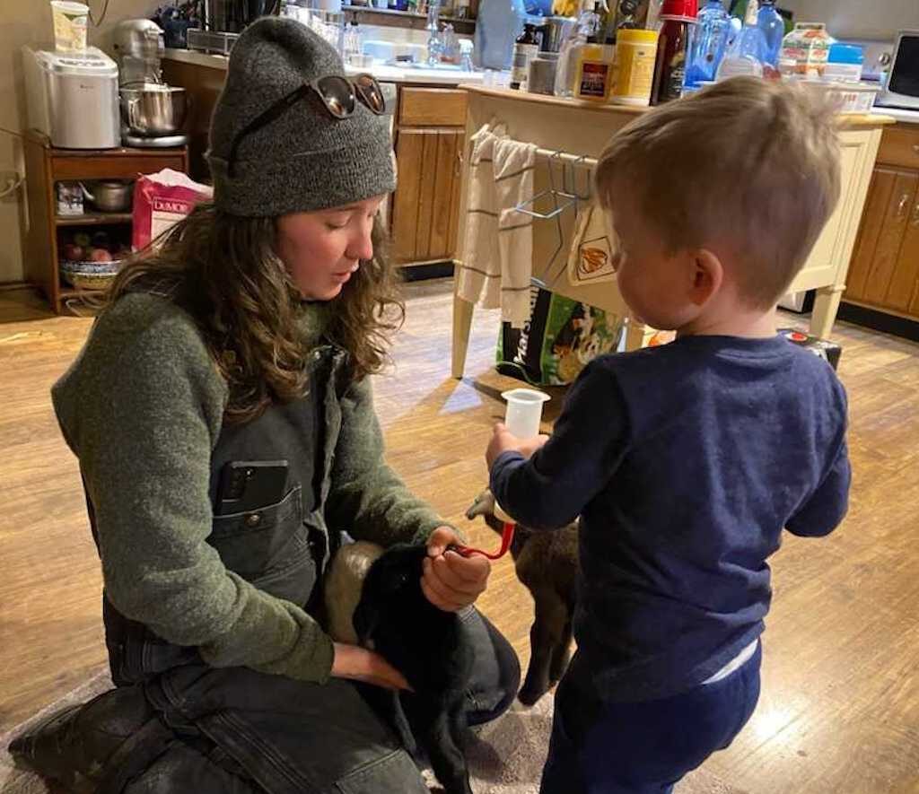 A woman in winter overalls and a knit cap kneels on the floor of a kitchen with a small black lamb in between her legs. She has a tube down its throat and a small child is holding a syringe to drain milk into the lamb's belly.