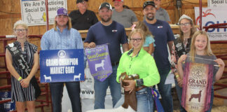 Grand Champion Goat