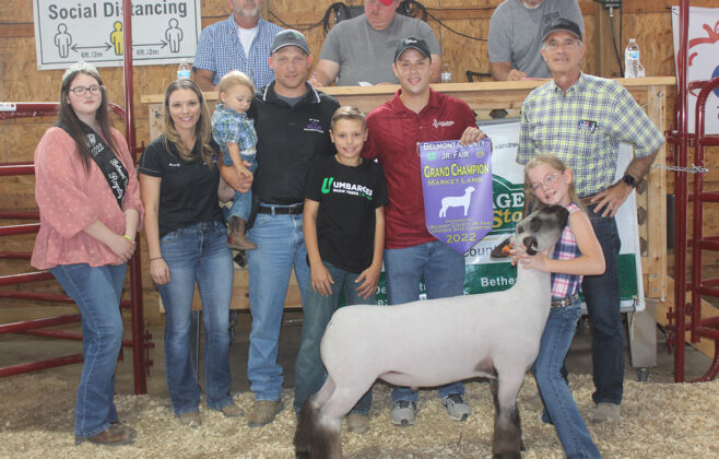 Grand Champion Lamb
