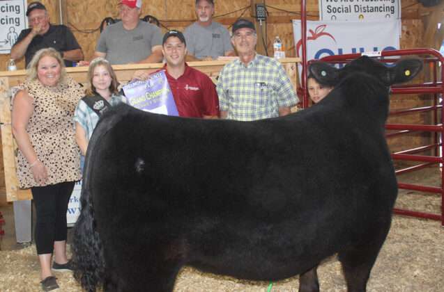 Grand Champion Steer