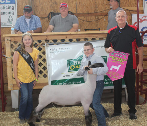 Reserve Champion Lamb