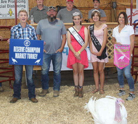 Reserve Champion Turkey