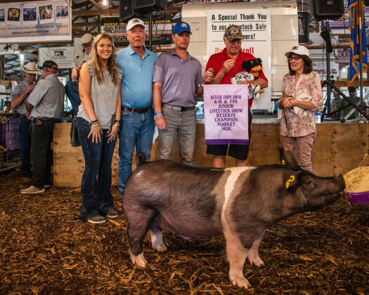 Reserve Champion Hog