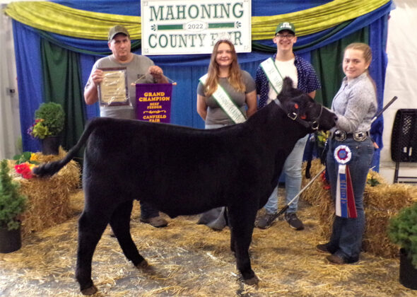 Grand Champion Beef Feeder