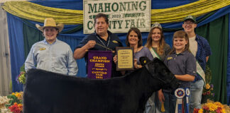 Grand Champion Beef Heifer Feeder