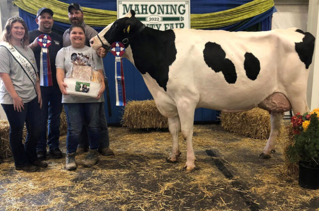 Grand Champion Cheese